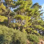 Forest & Sea View アルゴストリオン