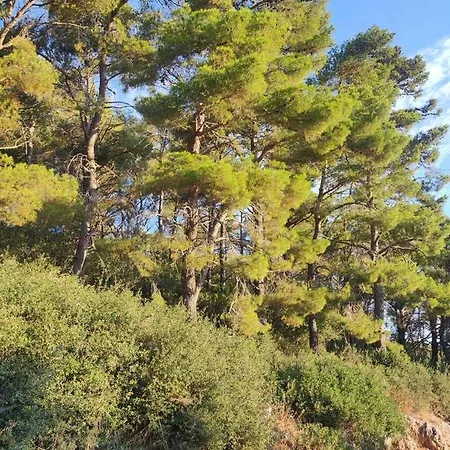 Forest & Sea View Argostoli (Kefalonia)
