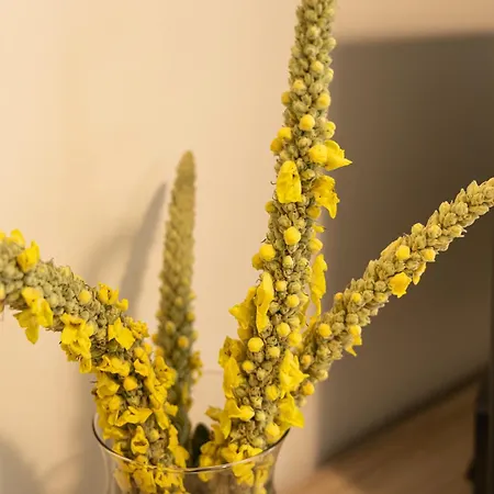 Lägenhet Forest & Sea View Argostoli (Kefalonia)